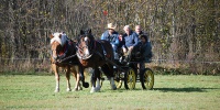 Hubertova jízda 2013