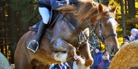 Hubertova jízda Farma Hrnčíř Proseč pod Křemešníkem 2015