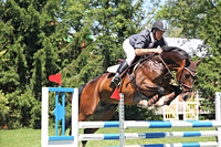 chov a výcvik koní chov a výcvik koní